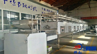 微波五谷雜糧烘焙設(shè)備 推動國內(nèi)農(nóng)產(chǎn)品深加工轉(zhuǎn)型升級的新模式