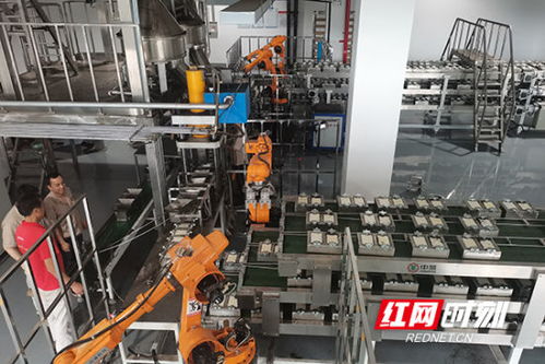 六月, 紅藍(lán)綠 里讀湖南