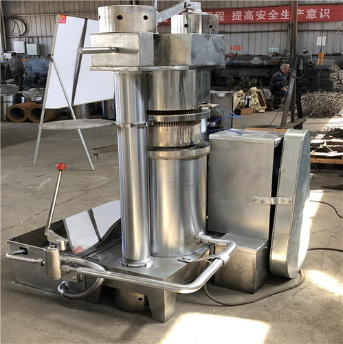 重型山核桃榨油機(jī)哪里好推薦 眾大機(jī)械