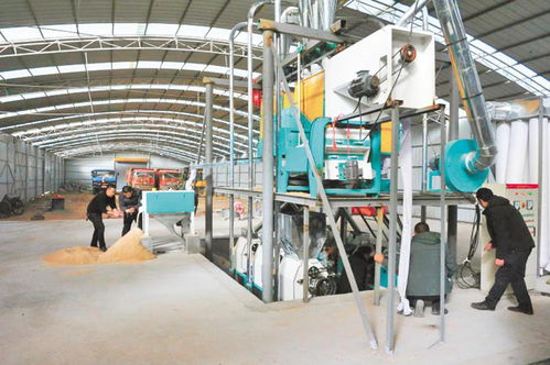 小康路上一個(gè)都不能少